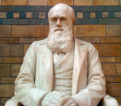 Charles Darwin at the Natural History Museum