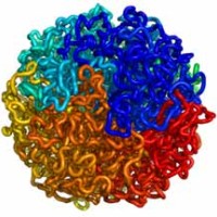 DNA coiled in a nucleus