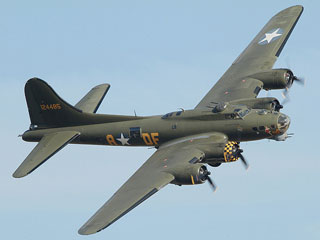 Sally B