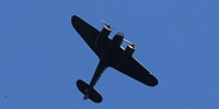 Blenheim