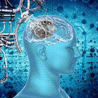 Borg