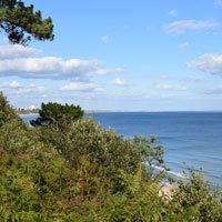Cliff