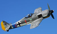 Fw 190