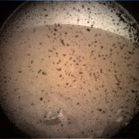 InSight 1