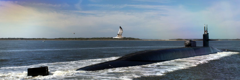 USS Georgia