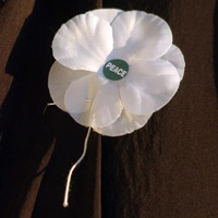 White poppy