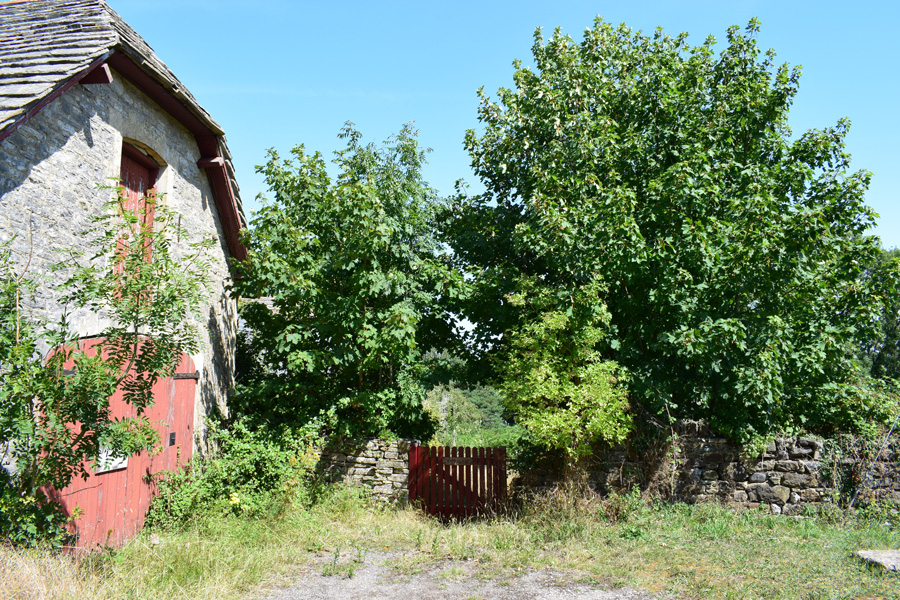 A Walk to Swanage, Summer 2019