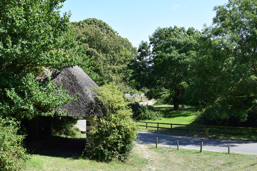 A Walk to Swanage, Summer 2019