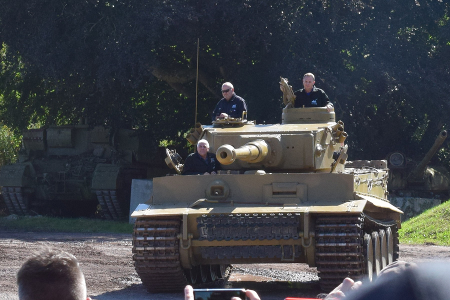 Tiger Day 2019