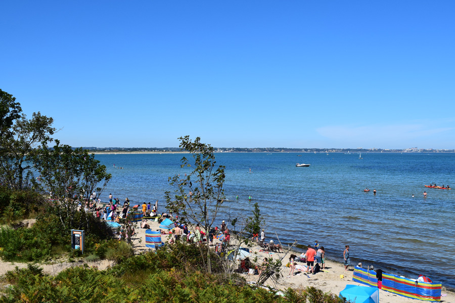 A Walk around Knoll Beach, 2020